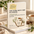 The Dark Skin Care Playbook by Xtracta Skincare, a practical skincare ebook for melanin-rich skin